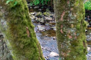 Photo 42- click for photo gallery